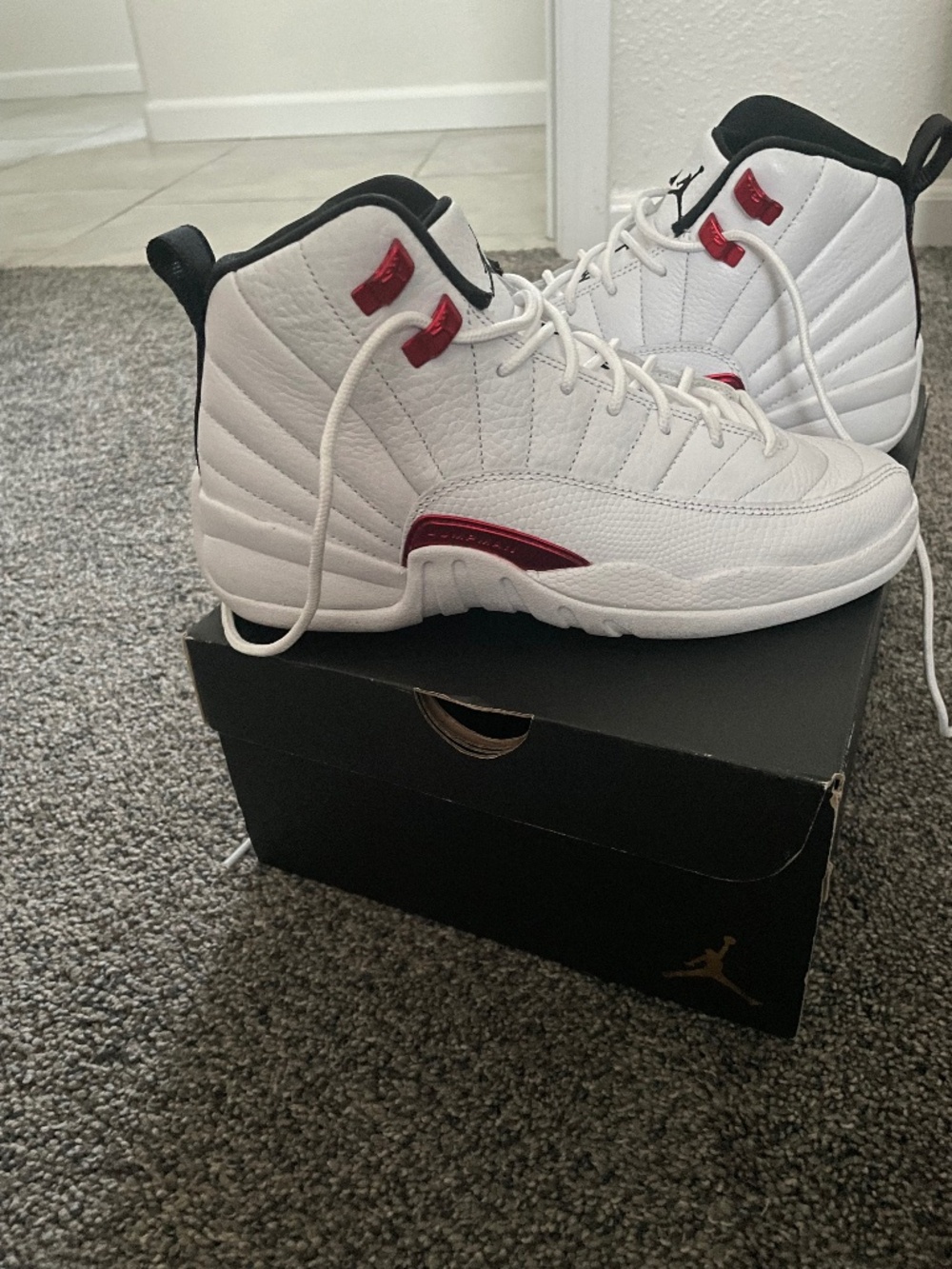 Air Jordan 12 Retro
